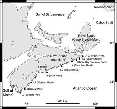 Latitudinal and Seasonal Changes in Intertidal Sea Surface Temperature Along the Atlantic Coast of Nova Scotia, Canada